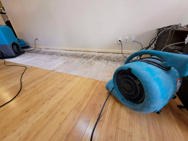Reliable Basement Flood Cleanup contractor in Sherman, CT by Hirex Water Damage