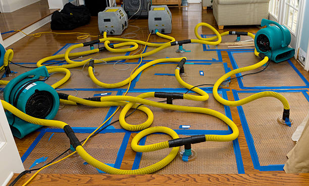 Professional Basement Flood Cleanup technician working in Sherman, CT